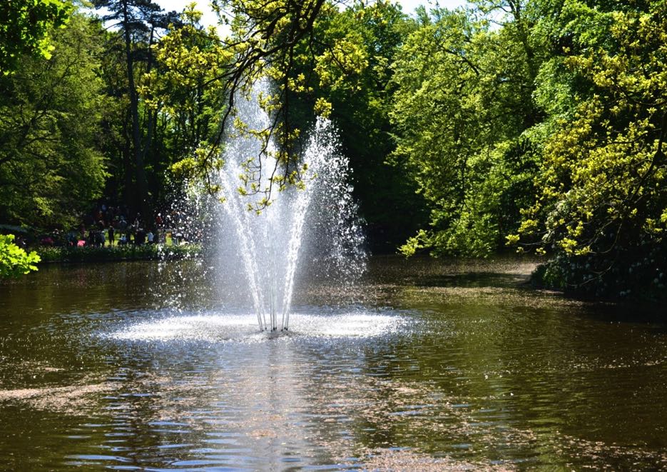Einblick in die großzügige Parkanlage mit malerischem See und Springbrunnen.