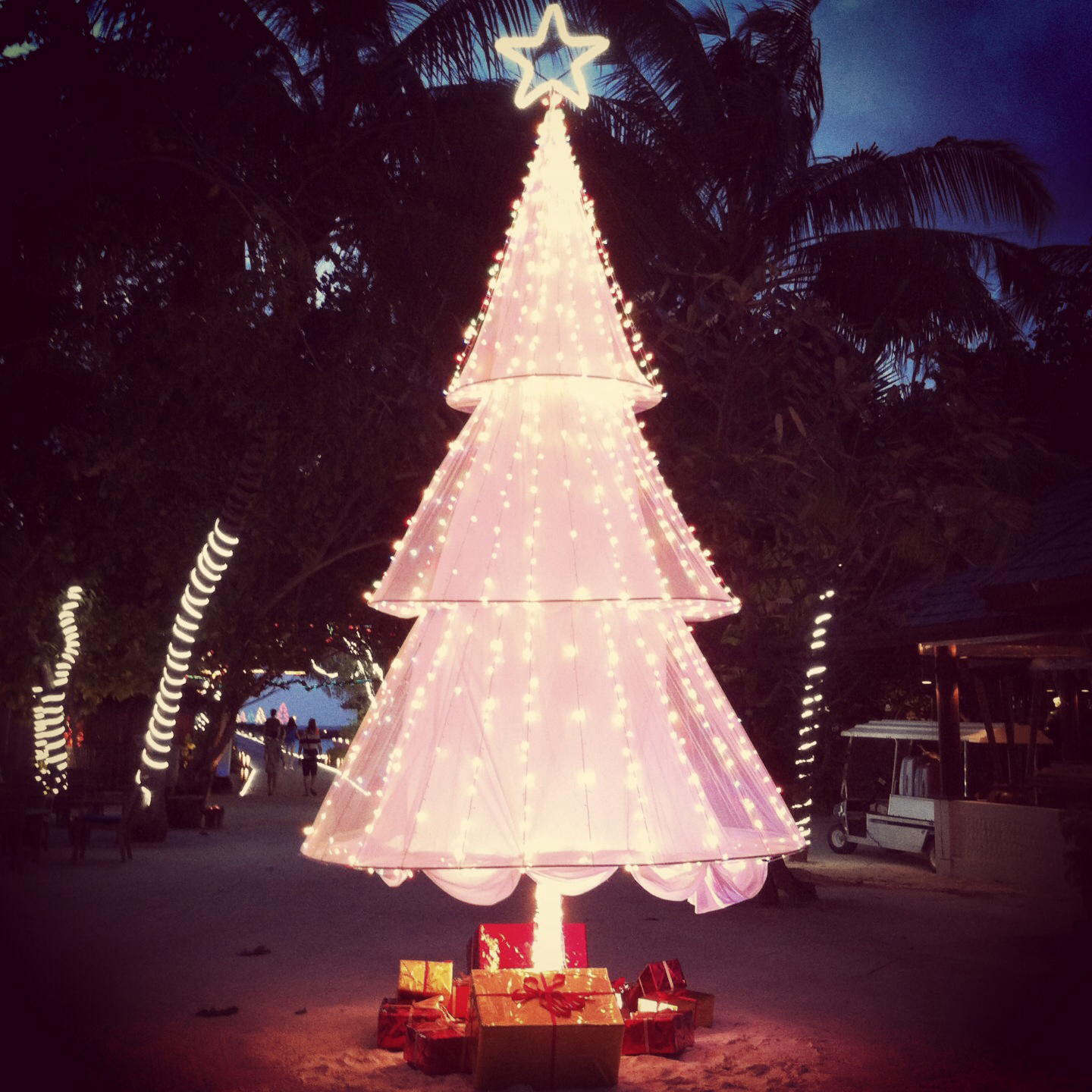 Weihnachtsbaum Malediven