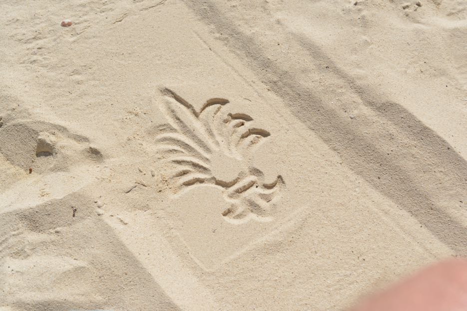 Sogar der Sand hat das Royal Palm Mauritius Gütesiegel